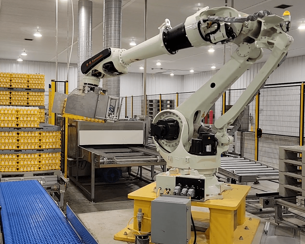Robot arm in egg processing facility