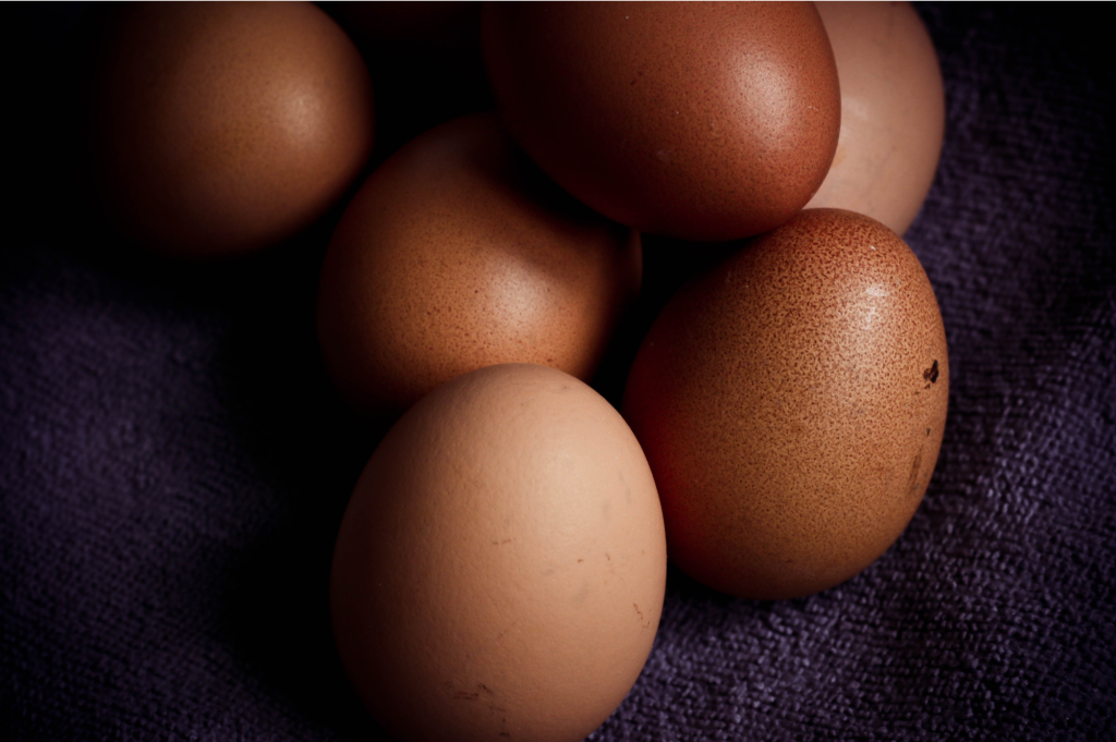 A close up of group of brown eggs with color variation on a dark cloth with moody lighting. automate egg palletizing