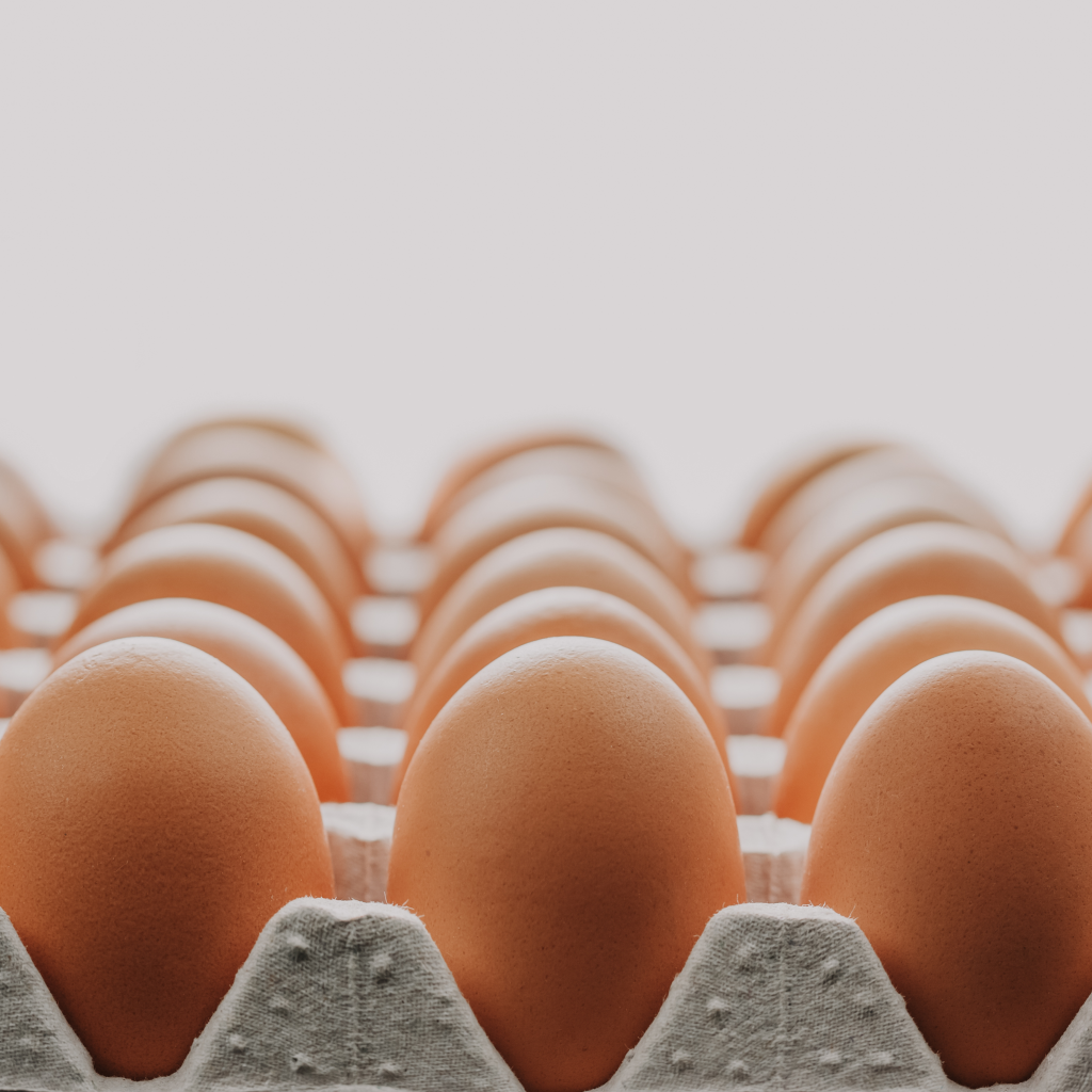 Project Gemperle: Automate Egg Palletizing at Gemperle Farms