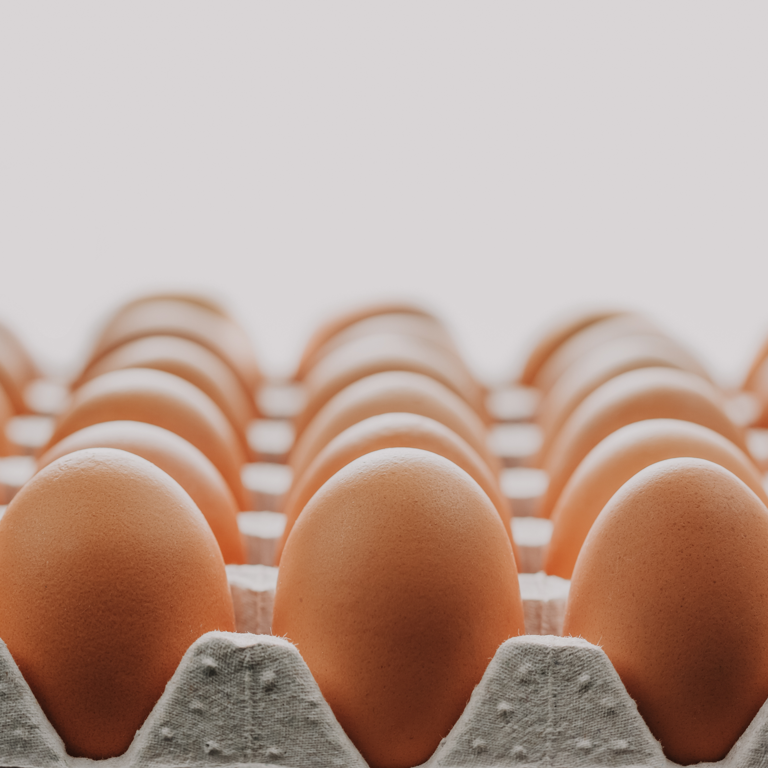 Close up of brown eggs in a carton