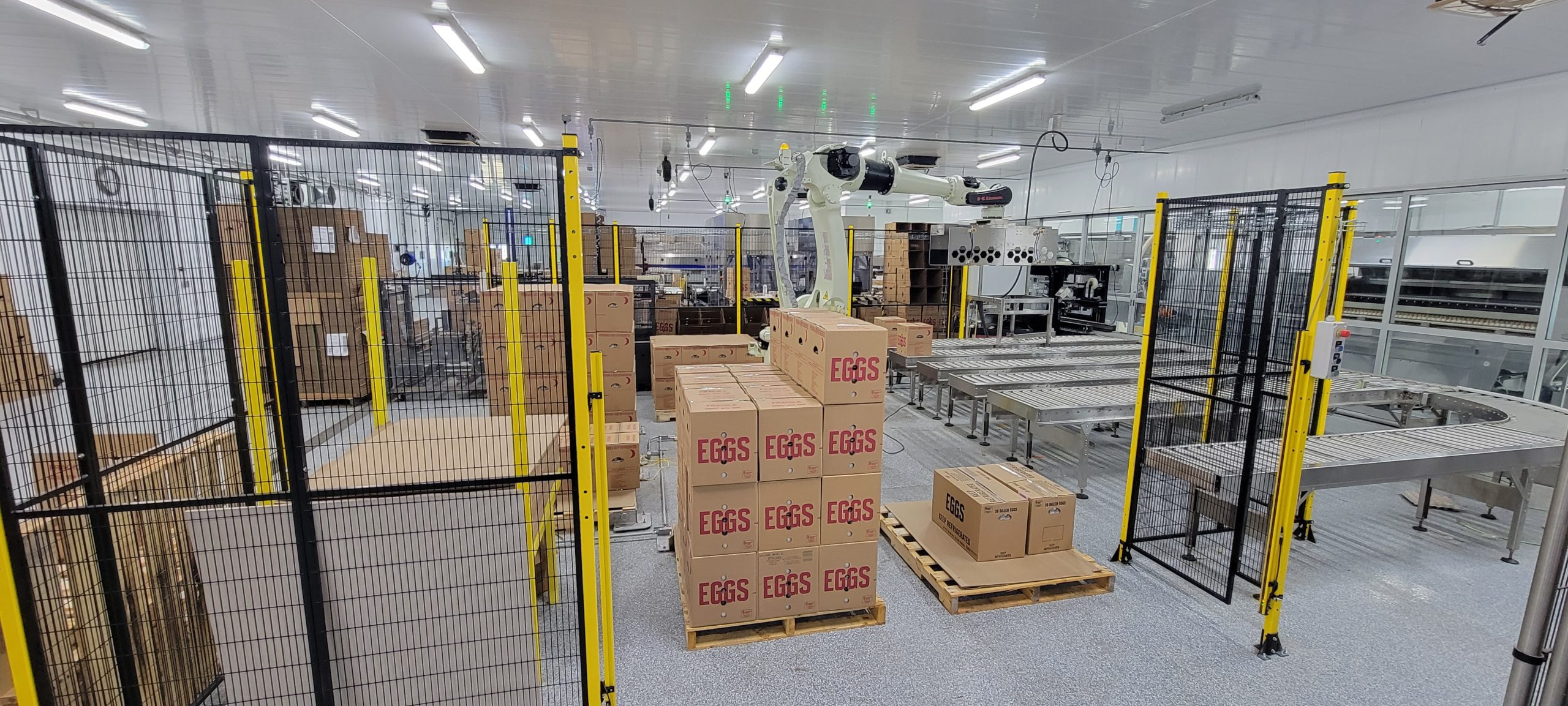 Stack of Eggs in packaging in a warehouse